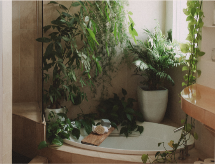 morning-rituals-placeholder